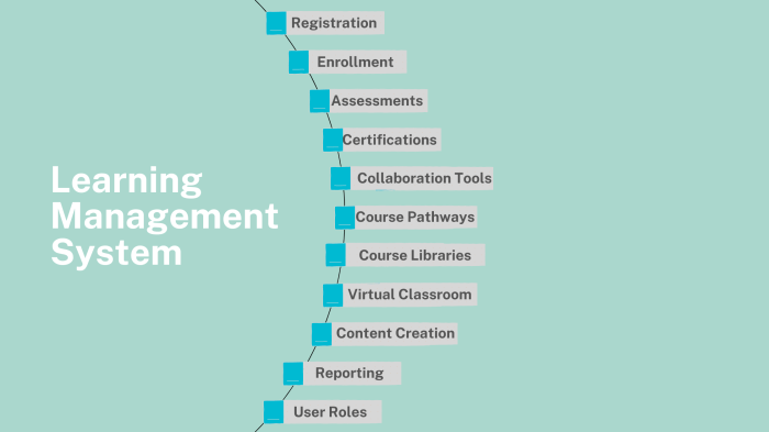 Learning management systems (LMS)